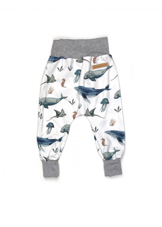 Harem Pants Underwater Wale/Rochen 