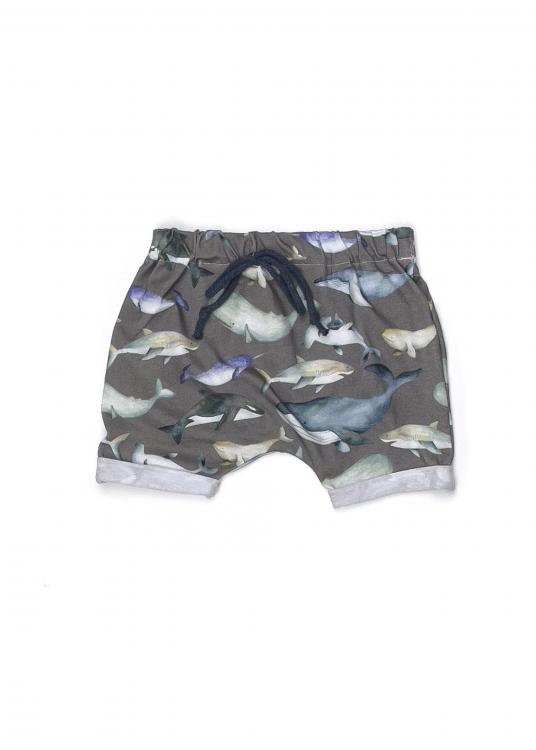 Sommershorts Wale grau 