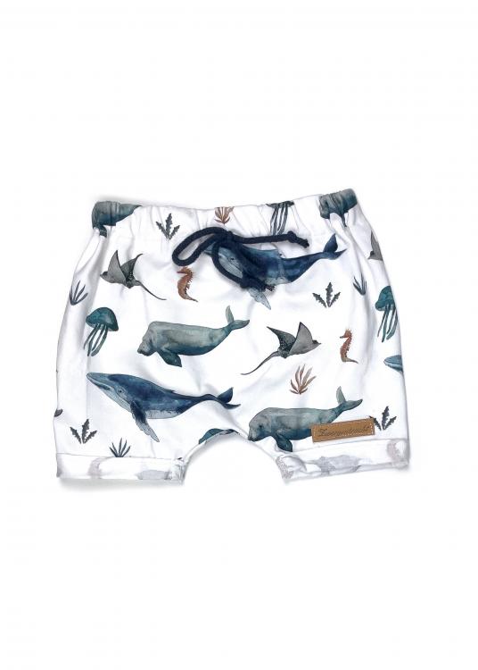 Sommershorts Underwater Wale 